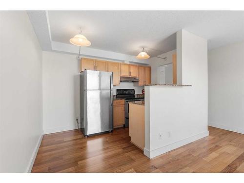 406-315 9A Street Nw, Calgary, AB - Indoor Photo Showing Kitchen