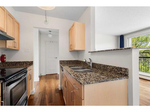 406-315 9A Street Nw, Calgary, AB - Indoor Photo Showing Kitchen With Double Sink