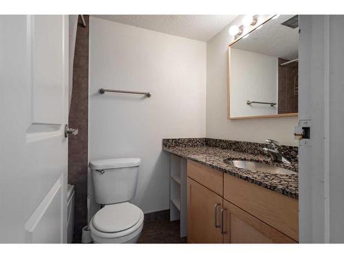 406-315 9A Street Nw, Calgary, AB - Indoor Photo Showing Bathroom