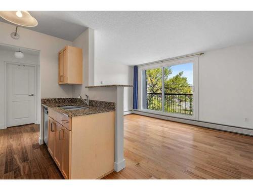 406-315 9A Street Nw, Calgary, AB - Indoor Photo Showing Kitchen With Double Sink