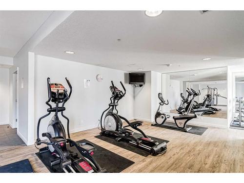 302-325 3 Street Se, Calgary, AB - Indoor Photo Showing Gym Room