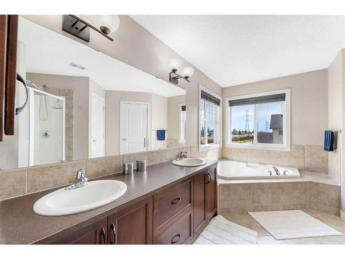 148 Seagreen Manor, Chestermere, AB - Indoor Photo Showing Bathroom