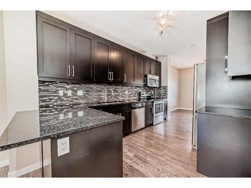 228 Marquis Lane Se, Calgary, AB - Indoor Photo Showing Kitchen With Stainless Steel Kitchen With Upgraded Kitchen