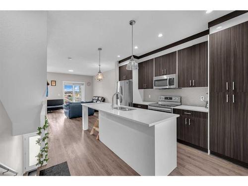 104-95 Skyview Close Ne, Calgary, AB - Indoor Photo Showing Kitchen With Stainless Steel Kitchen With Upgraded Kitchen