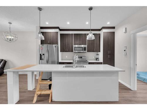 104-95 Skyview Close Ne, Calgary, AB - Indoor Photo Showing Kitchen With Stainless Steel Kitchen With Double Sink With Upgraded Kitchen