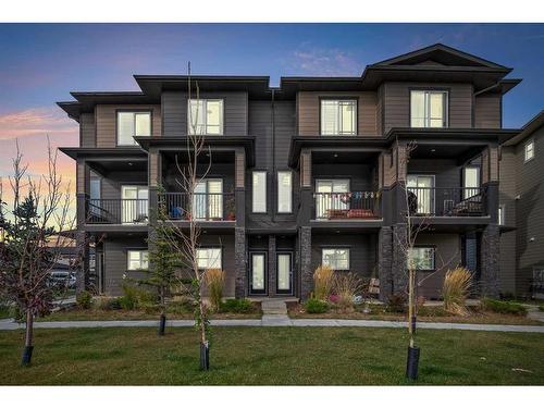 104-95 Skyview Close Ne, Calgary, AB - Outdoor With Facade