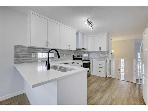 126 Springs Court Se, Airdrie, AB - Indoor Photo Showing Kitchen With Double Sink With Upgraded Kitchen