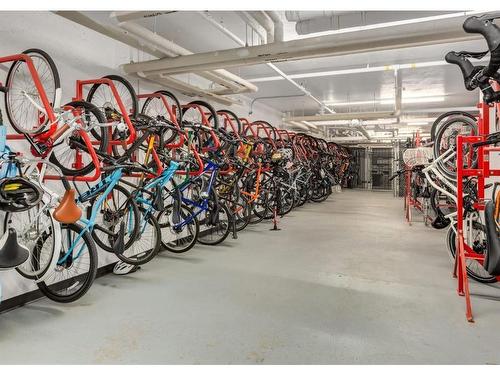 330-88 9 Street Ne, Calgary, AB - Indoor Photo Showing Garage