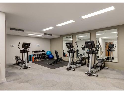 330-88 9 Street Ne, Calgary, AB - Indoor Photo Showing Gym Room