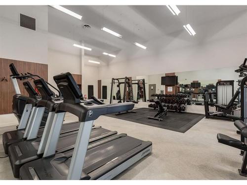 330-88 9 Street Ne, Calgary, AB - Indoor Photo Showing Gym Room