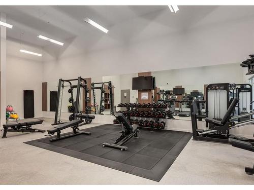 330-88 9 Street Ne, Calgary, AB - Indoor Photo Showing Gym Room