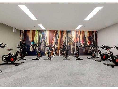 330-88 9 Street Ne, Calgary, AB - Indoor Photo Showing Gym Room