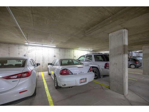 206-2206 Hawksbrow Point Nw, Calgary, AB - Indoor Photo Showing Garage