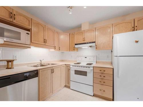 206-2206 Hawksbrow Point Nw, Calgary, AB - Indoor Photo Showing Kitchen With Double Sink