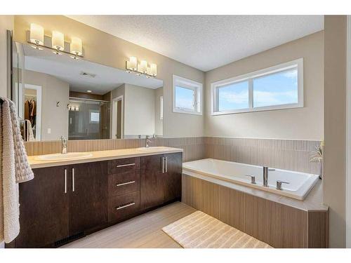 249 Walden Heights Se, Calgary, AB - Indoor Photo Showing Bathroom