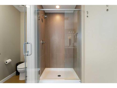 249 Walden Heights Se, Calgary, AB - Indoor Photo Showing Bathroom