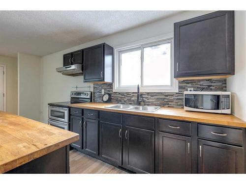 7419 21A Street Se, Calgary, AB - Indoor Photo Showing Kitchen With Double Sink