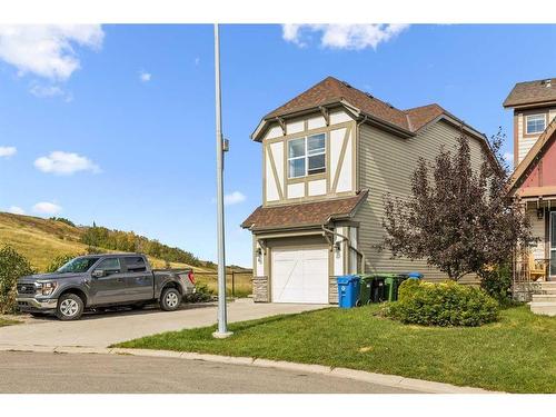 96 Chaparral Valley Common Se, Calgary, AB - Outdoor