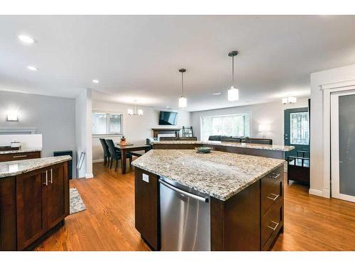 1267 Lake Sundance Crescent Se, Calgary, AB - Indoor Photo Showing Kitchen With Upgraded Kitchen