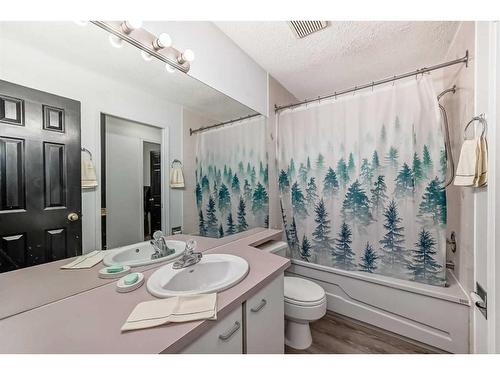 193 Taradale Drive Ne, Calgary, AB - Indoor Photo Showing Bathroom