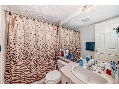 193 Taradale Drive Ne, Calgary, AB - Indoor Photo Showing Bathroom