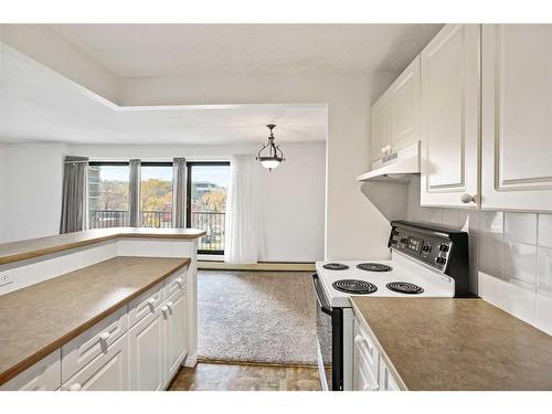 307-1330 15 Avenue Sw, Calgary, AB - Indoor Photo Showing Kitchen