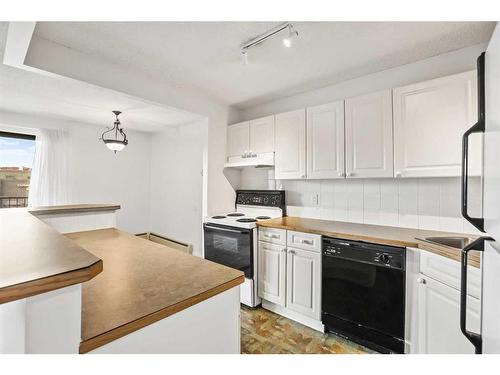 307-1330 15 Avenue Sw, Calgary, AB - Indoor Photo Showing Kitchen