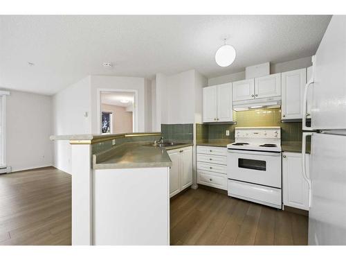 115-3000 Somervale Court Sw, Calgary, AB - Indoor Photo Showing Kitchen With Double Sink