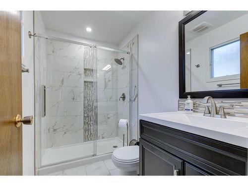 6732 Temple Drive Ne, Calgary, AB - Indoor Photo Showing Bathroom