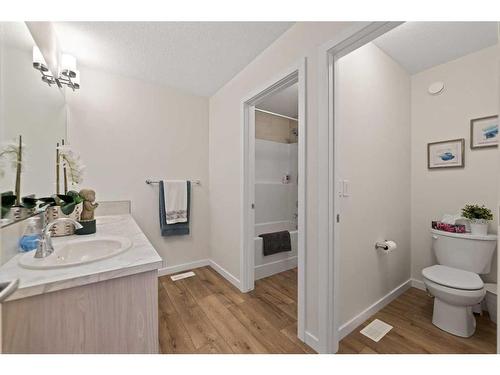 81 Legacy Reach Crescent Se, Calgary, AB - Indoor Photo Showing Bathroom