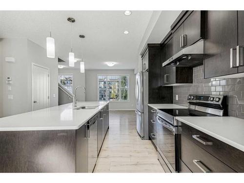 142 New Brighton Walk Se, Calgary, AB - Indoor Photo Showing Kitchen With Stainless Steel Kitchen With Upgraded Kitchen