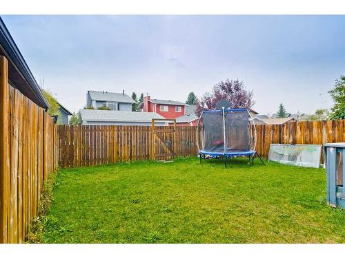 6039 Martingrove Road Ne, Calgary, AB - Outdoor With Backyard