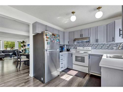 349 Martindale Boulevard Ne, Calgary, AB - Indoor Photo Showing Kitchen With Double Sink With Upgraded Kitchen