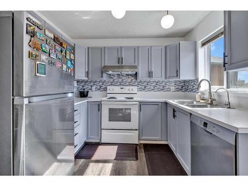 349 Martindale Boulevard Ne, Calgary, AB - Indoor Photo Showing Kitchen With Double Sink