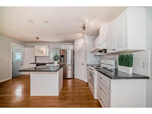 1059 Abbeydale Drive Ne, Calgary, AB - Indoor Photo Showing Kitchen With Double Sink