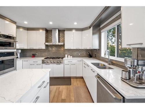 139 Catalina Place Ne, Calgary, AB - Indoor Photo Showing Kitchen With Stainless Steel Kitchen With Double Sink