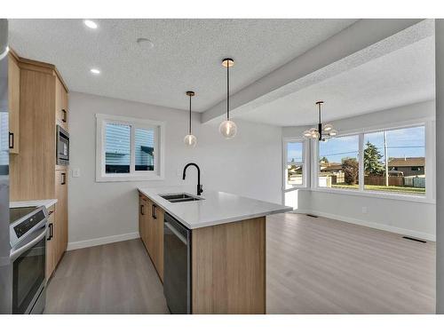 63 Martinview Crescent Ne, Calgary, AB - Indoor Photo Showing Kitchen With Double Sink With Upgraded Kitchen