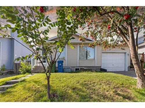 119 Castleglen Road Ne, Calgary, AB - Outdoor