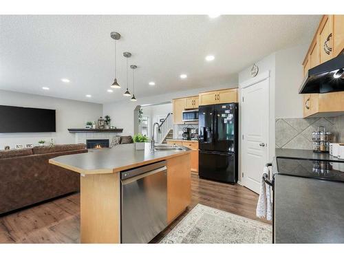 13 Brightondale Park Se, Calgary, AB - Indoor Photo Showing Kitchen With Double Sink