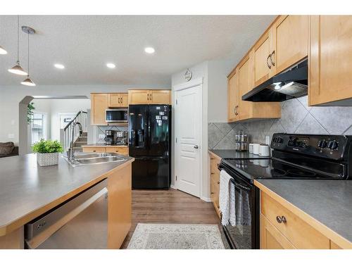 13 Brightondale Park Se, Calgary, AB - Indoor Photo Showing Kitchen With Double Sink