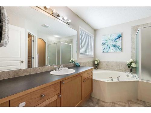 13 Brightondale Park Se, Calgary, AB - Indoor Photo Showing Bathroom