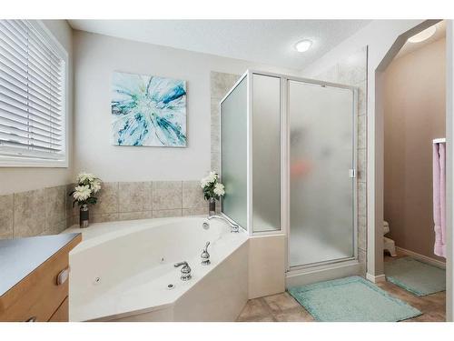 13 Brightondale Park Se, Calgary, AB - Indoor Photo Showing Bathroom