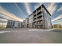 1507-395 Skyview Parkway NE Calgary, AB T3N 2K1