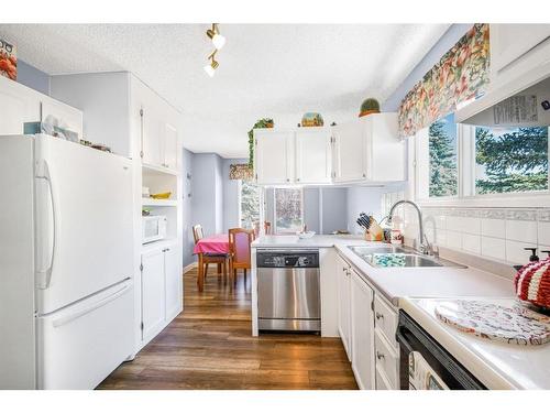 271 Deersaxon Circle Se, Calgary, AB - Indoor Photo Showing Kitchen With Double Sink