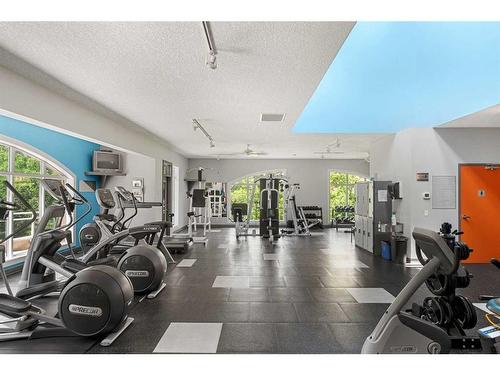 1107-24 Hemlock Crescent Sw, Calgary, AB - Indoor Photo Showing Gym Room