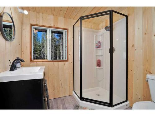 9 Hidden Acres Close, Rural Clearwater County, AB - Indoor Photo Showing Bathroom