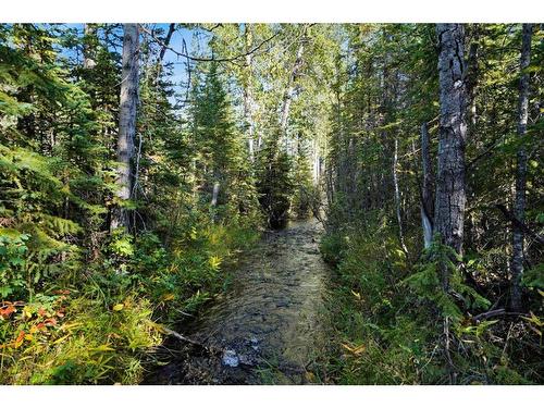 9 Hidden Acres Close, Rural Clearwater County, AB - Outdoor