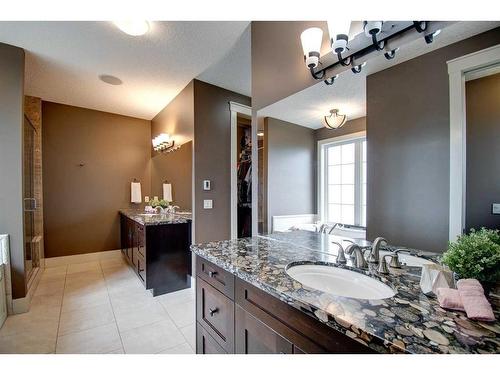 232060 Range Road 245, Rural Wheatland County, AB - Indoor Photo Showing Bathroom