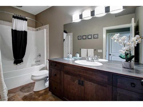 232060 Range Road 245, Rural Wheatland County, AB - Indoor Photo Showing Bathroom