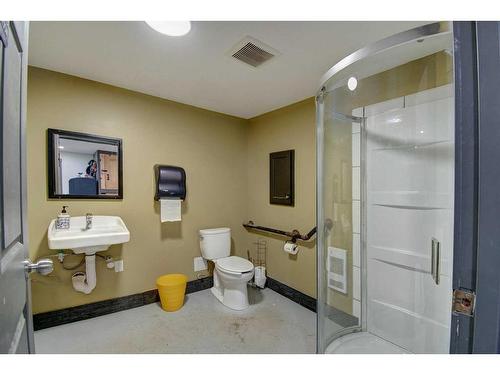 232060 Range Road 245, Rural Wheatland County, AB - Indoor Photo Showing Bathroom